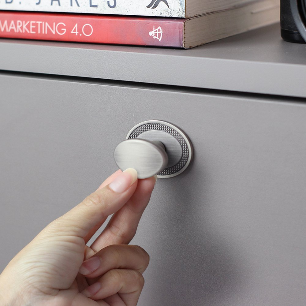 Puxador Ponto Beetle Com Base Granada Níquel Velho ZP5402 - Zen